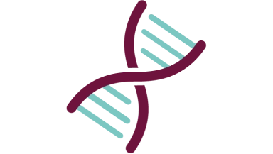 A DNA strand.
